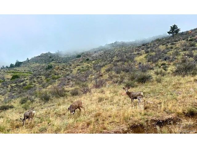 3050 W County Road 82e, Livermore, CO 80536