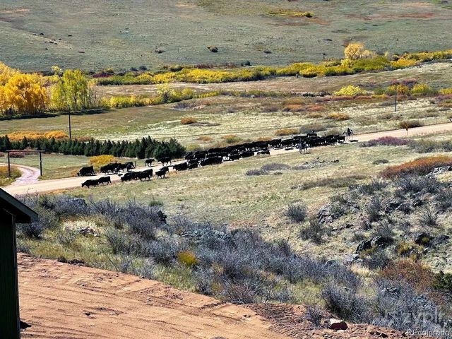 3050 W County Road 82e, Livermore, CO 80536