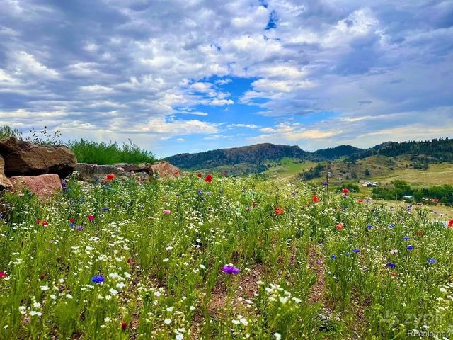 3050 W County Road 82e, Livermore, CO 80536