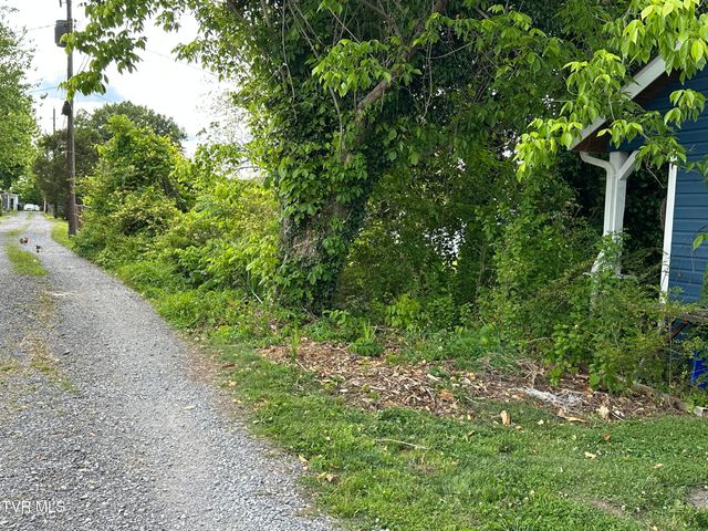 1045 Catawba Street, Kingsport, TN 37660