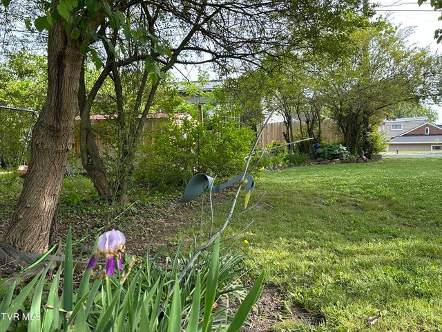 1045 Catawba Street, Kingsport, TN 37660