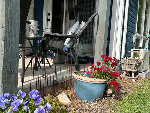 1045 Catawba Street, Kingsport, TN 37660