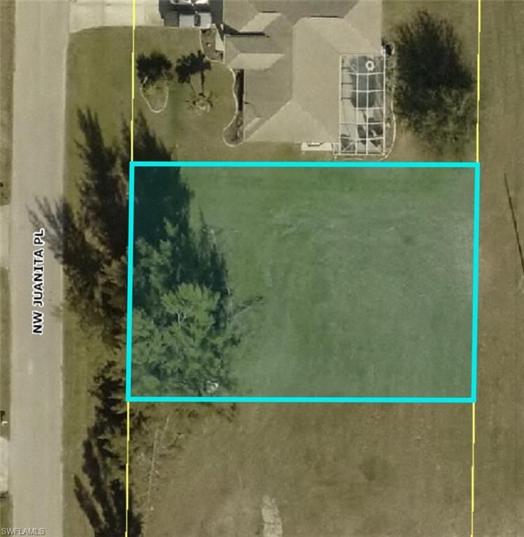 1319 NW Juanita PL, CAPE CORAL, FL 33993 — exterior