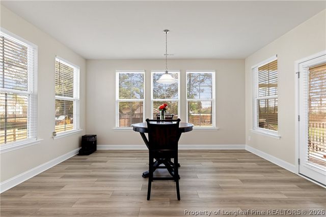 18 Two Belles Ct Court, Angier, NC 27501