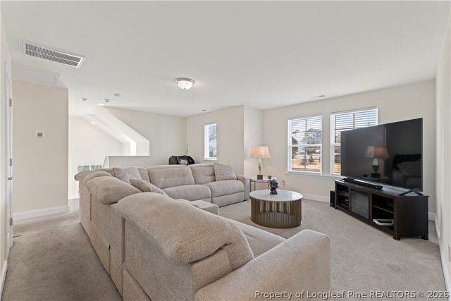 18 Two Belles Ct Court, Angier, NC 27501