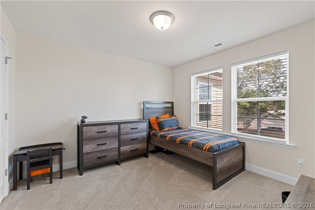 18 Two Belles Ct Court, Angier, NC 27501