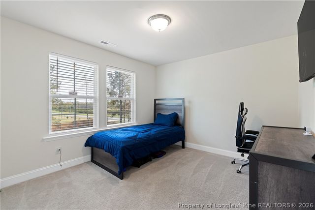 18 Two Belles Ct Court, Angier, NC 27501