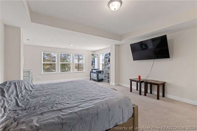 18 Two Belles Ct Court, Angier, NC 27501