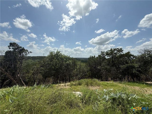 8355 Scenic Lakeview Drive, Salado, TX 76571