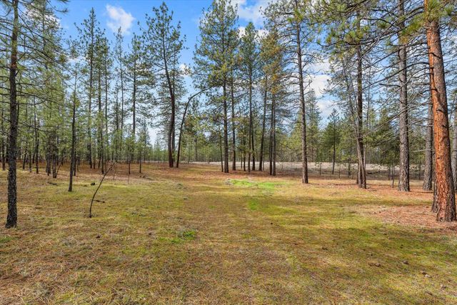 6555 Kate Dr Dr, Nine Mile Falls, WA 99026