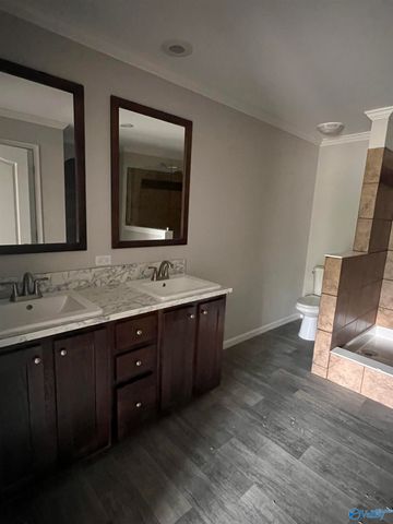 12 Martin Lane, Guntersville, AL 35976