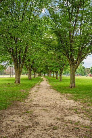 1512 Shadford Road, Ann Arbor, MI 48104