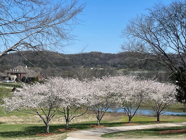 3235 Kinnard Springs Rd, Franklin, TN 37064