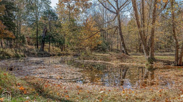 1996 County Road 308, Bono, AR 72416