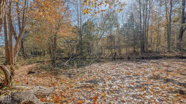 1996 County Road 308, Bono, AR 72416