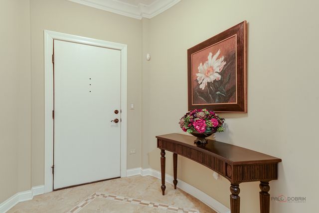 1800 AMBERLEY Court 309, Lake Forest, IL 60045