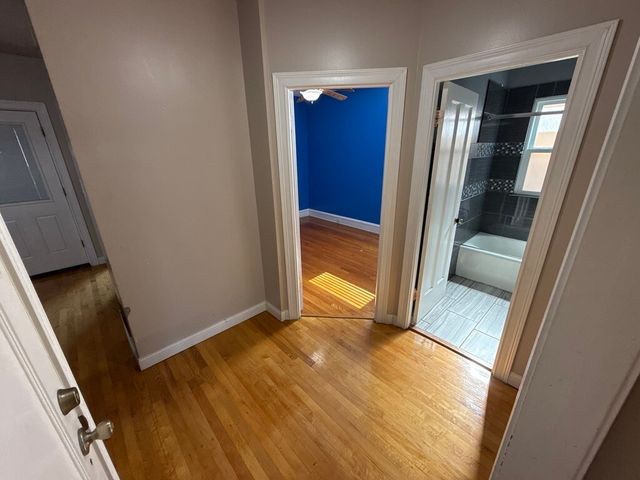 5327 W Wolfram Street 1, Chicago, IL 60641