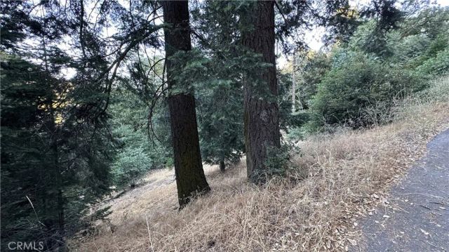 0 Fir, Cedarpines Park, CA 92322