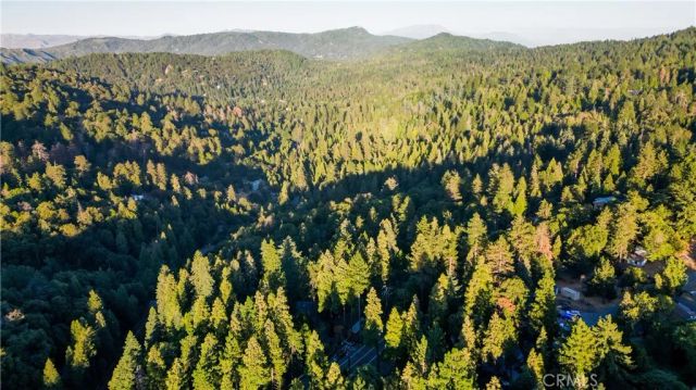 0 Fir, Cedarpines Park, CA 92322