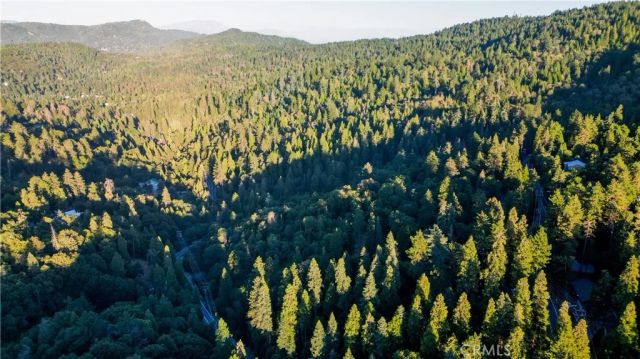 0 Fir, Cedarpines Park, CA 92322