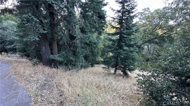 0 Fir, Cedarpines Park, CA 92322
