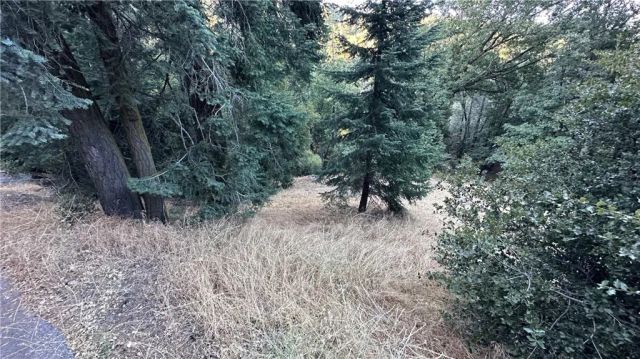 0 Fir, Cedarpines Park, CA 92322
