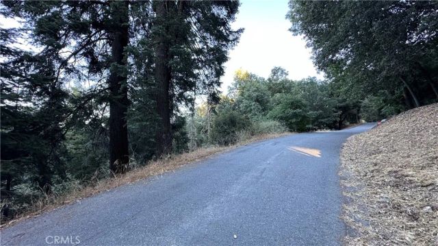0 Fir, Cedarpines Park, CA 92322