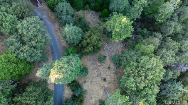 0 Fir, Cedarpines Park, CA 92322