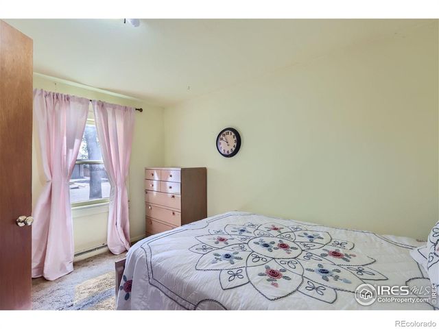 3833 Lincoln Avenue, Wellington, CO 80549