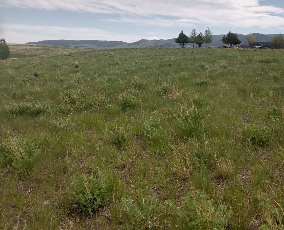 1003 ARROWHEAD LANE, WHITE SULPHUR SPRINGS, MT 59645, WHITE SULPHUR