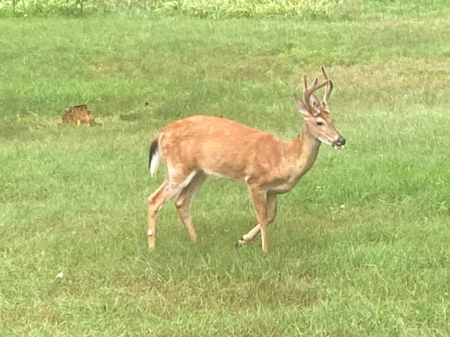 8949 Stadium Drive, Kalamazoo, MI 49009