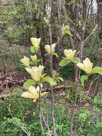 8949 Stadium Drive, Kalamazoo, MI 49009