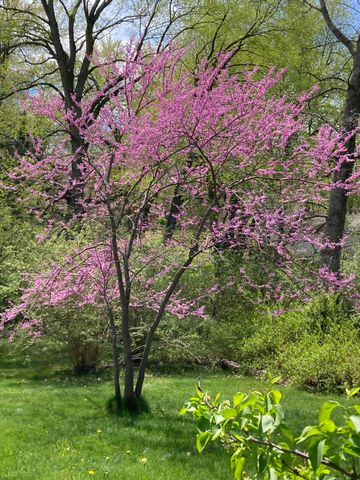 8949 Stadium Drive, Kalamazoo, MI 49009