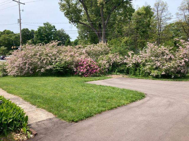 8949 Stadium Drive, Kalamazoo, MI 49009