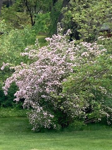 8949 Stadium Drive, Kalamazoo, MI 49009