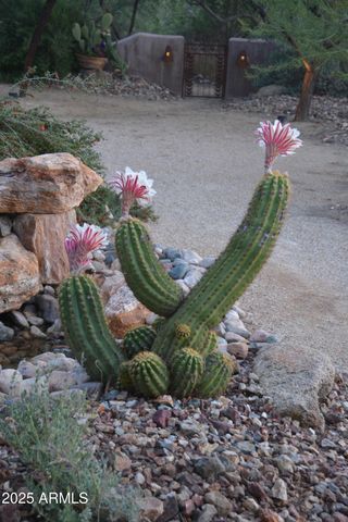 50602 N US Hwy 60 Avenue, Wickenburg, AZ 85390