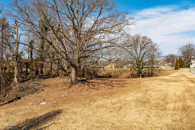 Tbd Knob Creek Road, Johnson City, TN 37604