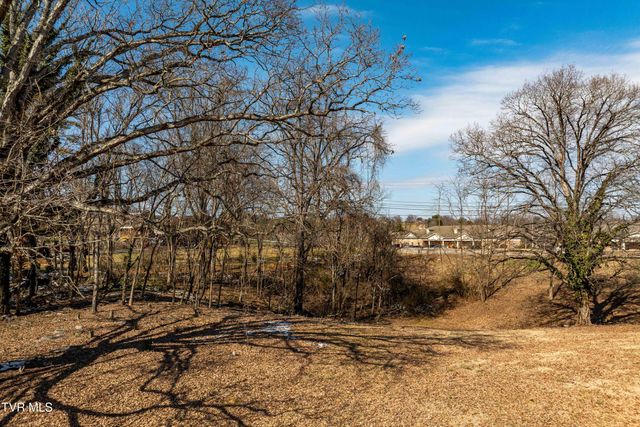 Tbd Knob Creek Road, Johnson City, TN 37604