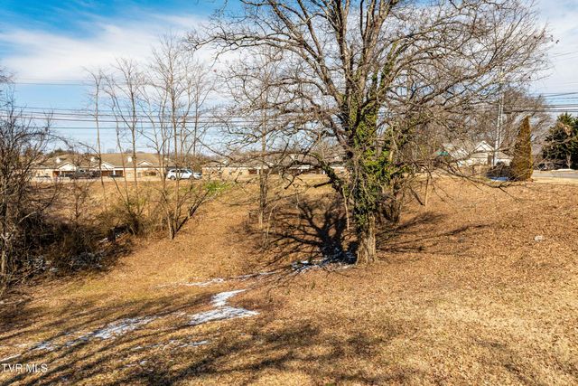Tbd Knob Creek Road, Johnson City, TN 37604