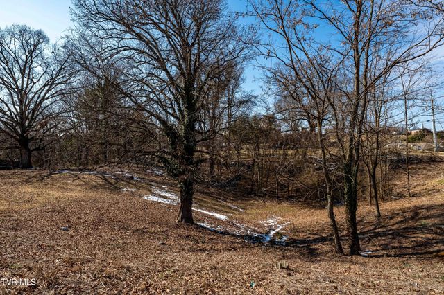 Tbd Knob Creek Road, Johnson City, TN 37604