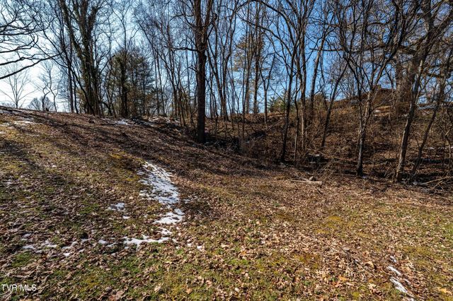 Tbd Knob Creek Road, Johnson City, TN 37604