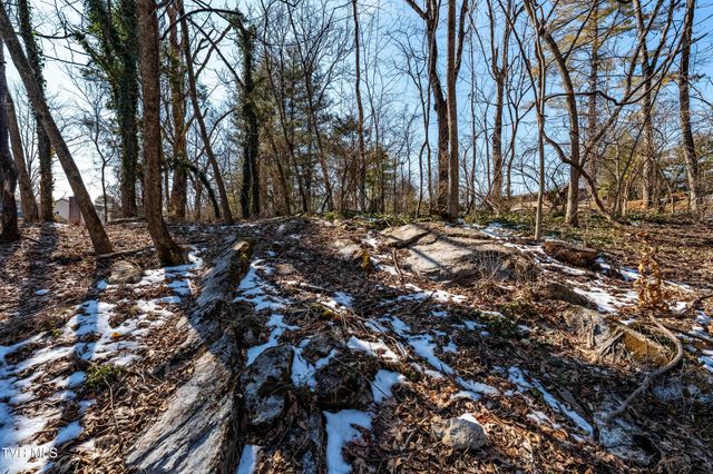 Tbd Knob Creek Road, Johnson City, TN 37604