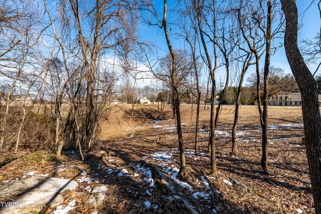 Tbd Knob Creek Road, Johnson City, TN 37604