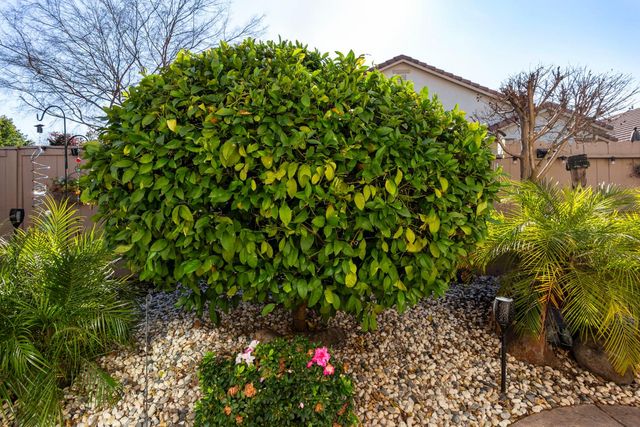 2152 Xavier Ln, Roseville, CA 95747