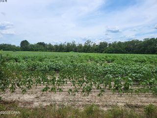 000 Joiner Road, Chipley, FL 32428