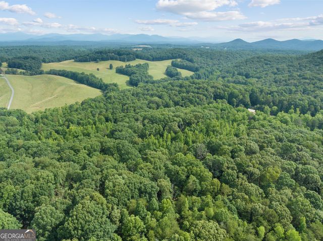 966 Wahoo Creek Road, Murrayville, GA 30564