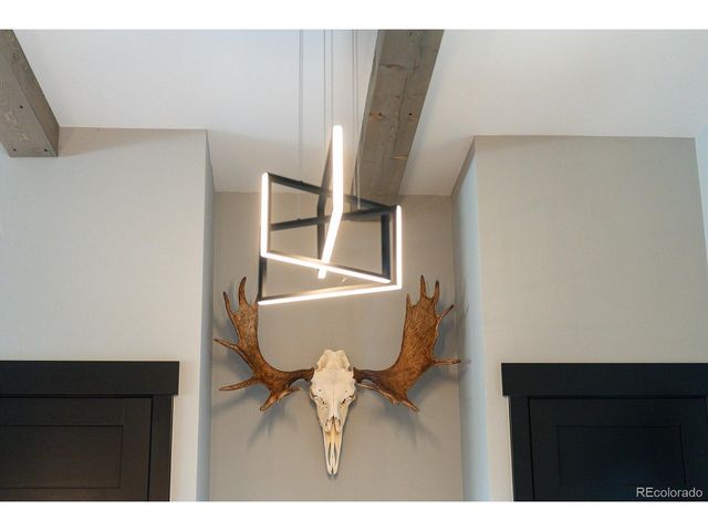 30007 Teal Run, Buena Vista, CO 81211