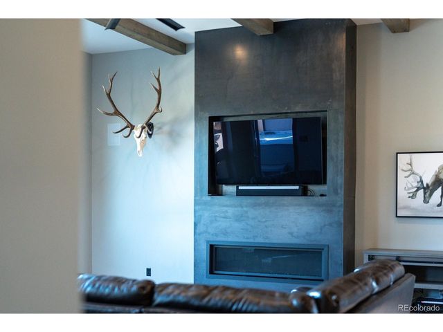30007 Teal Run, Buena Vista, CO 81211