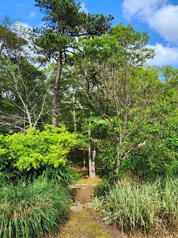 988 Crowells Bog Road, Brewster, MA 02631