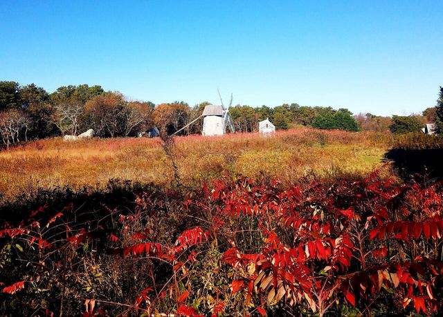 988 Crowells Bog Road, Brewster, MA 02631